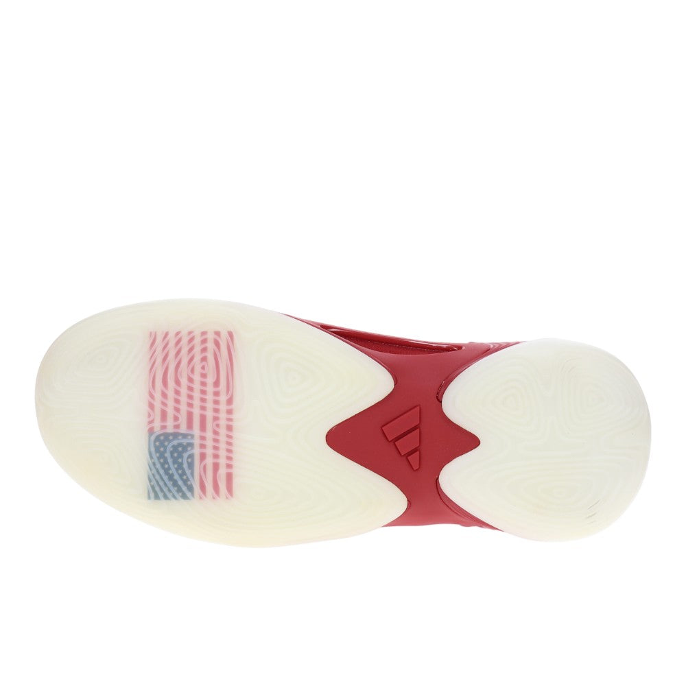 Exhibit Select 2.0 Team USA Basketball Shoes