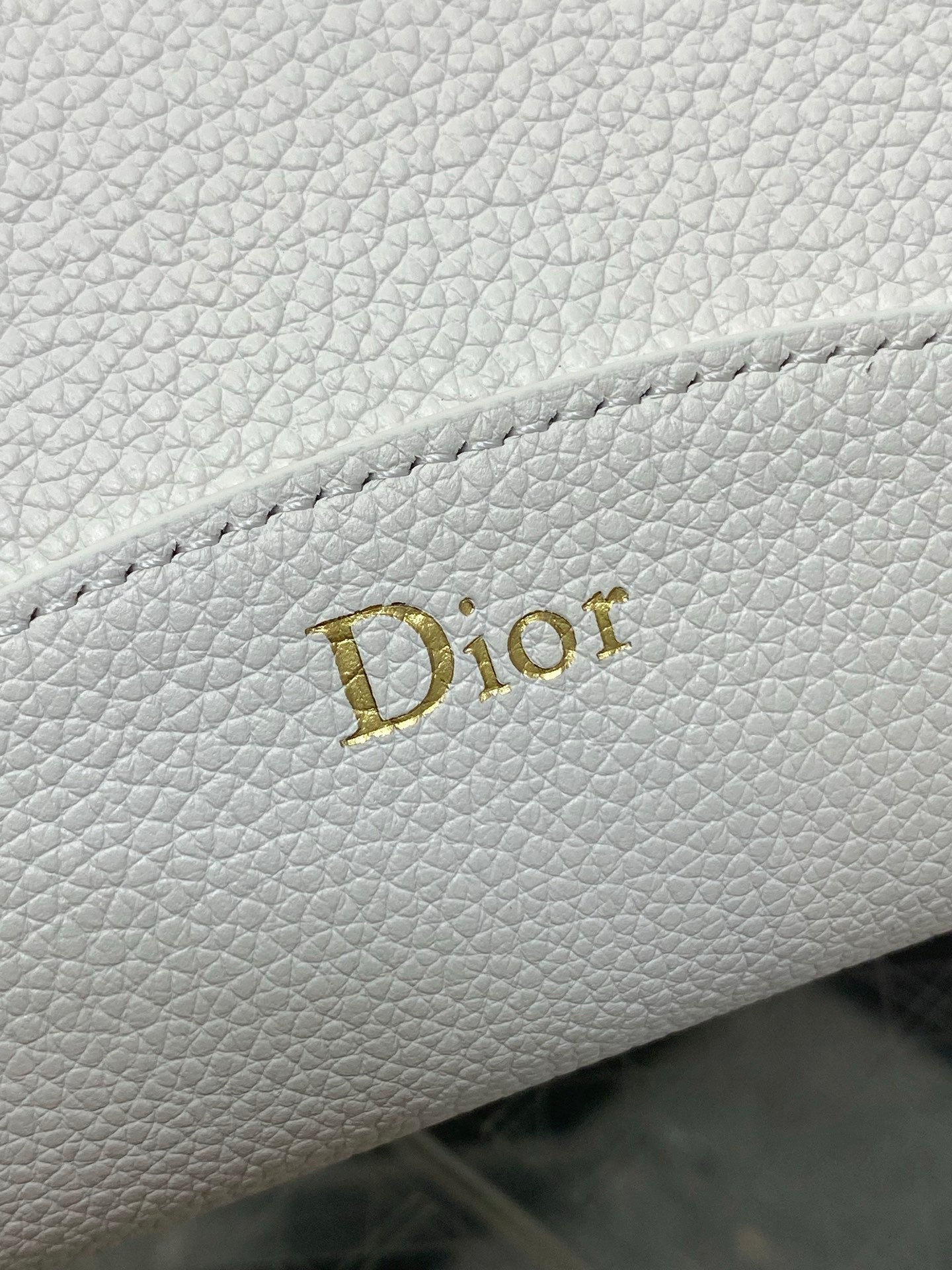 Dior 2026 Medaillon Bucket Bag 26.5cm Grained Cowhide 289070