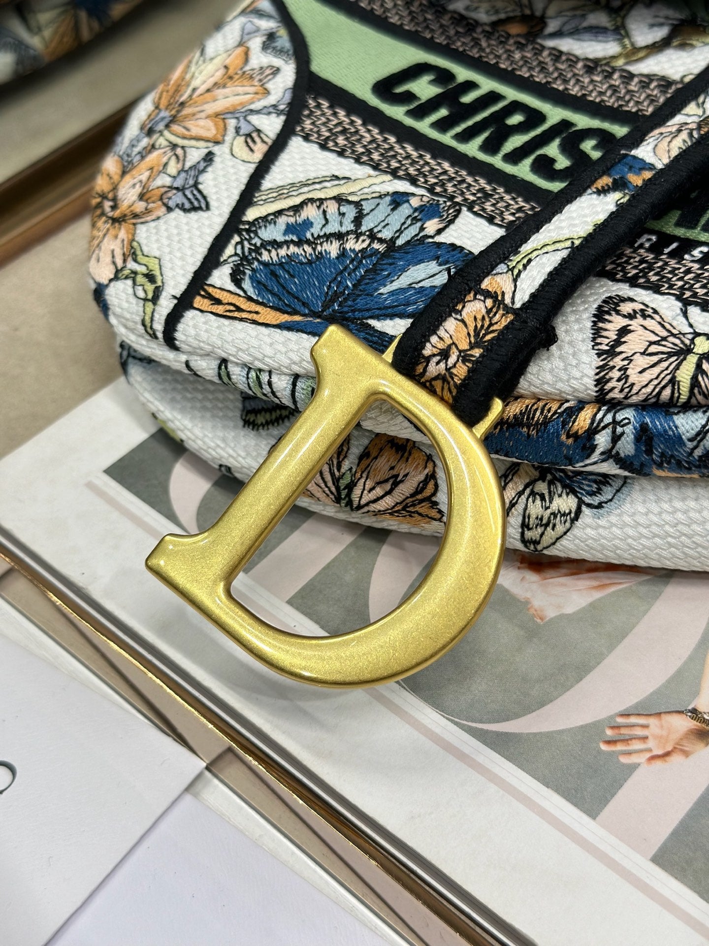 Dior 2026 Colorful Butterfly Saddle Bag 25.5cm Canvas 289474