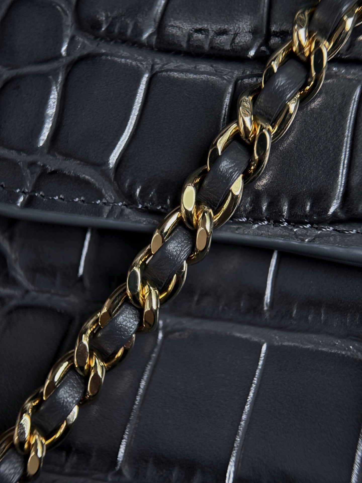 Chanel 2026 Crocodile Embossed Flap Bag 19.5cm Calfskin