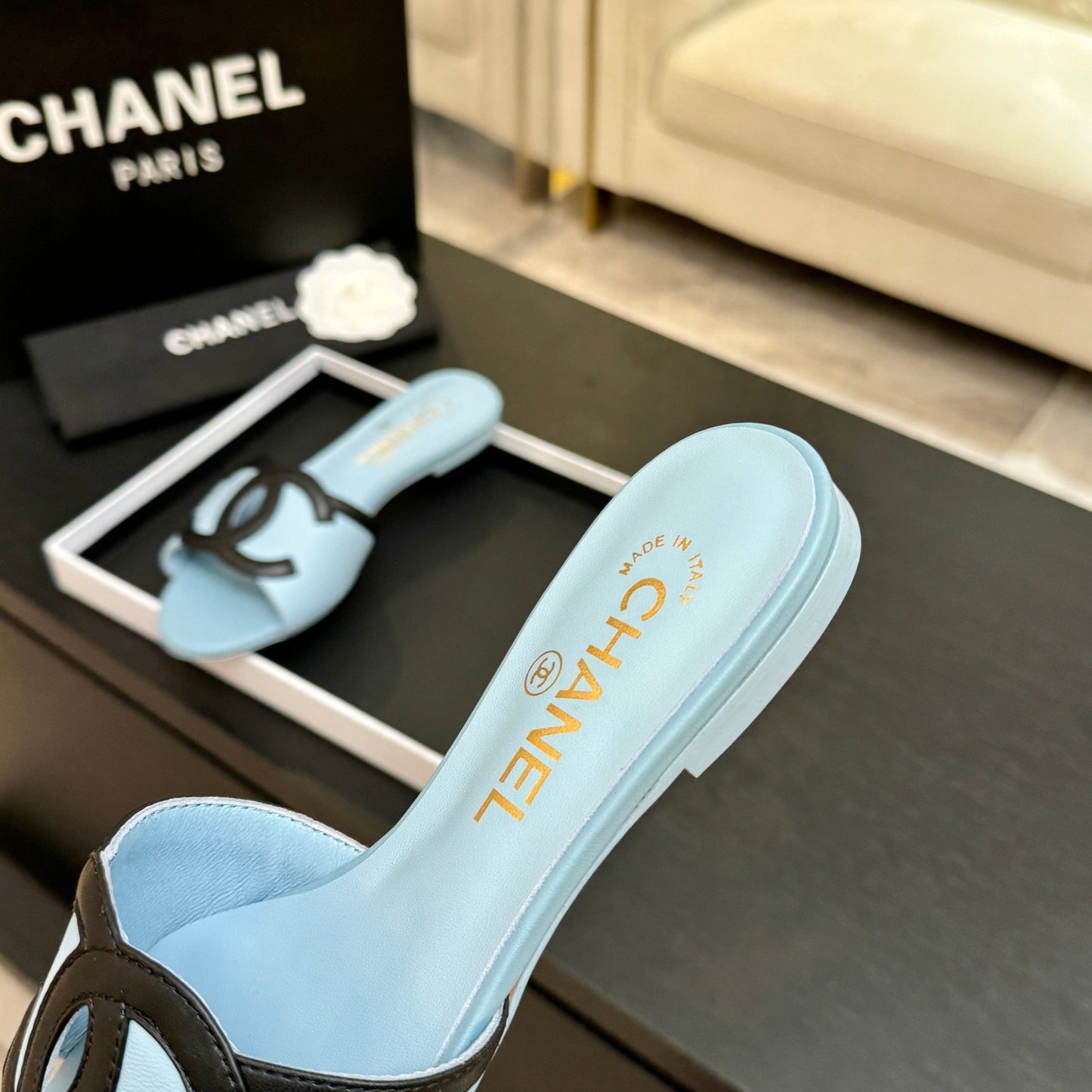 Chanel 2026 Flat Sandal Light Blue Black Cowhide