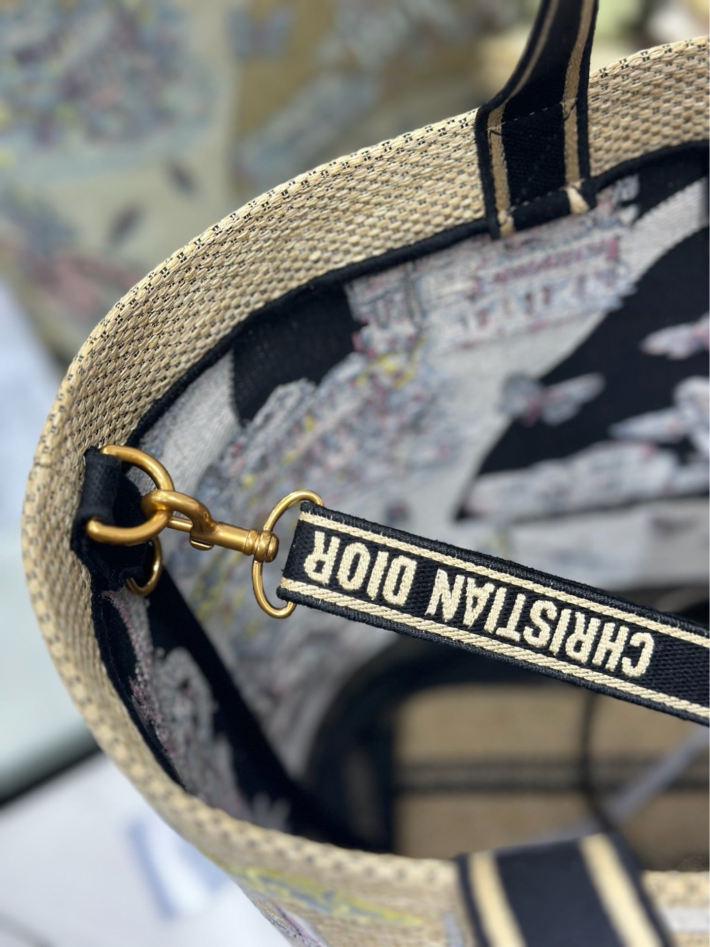 Dior 2026 City Postcard Resort Style Handbag "Shanghai Exclusive" Canvas 288600