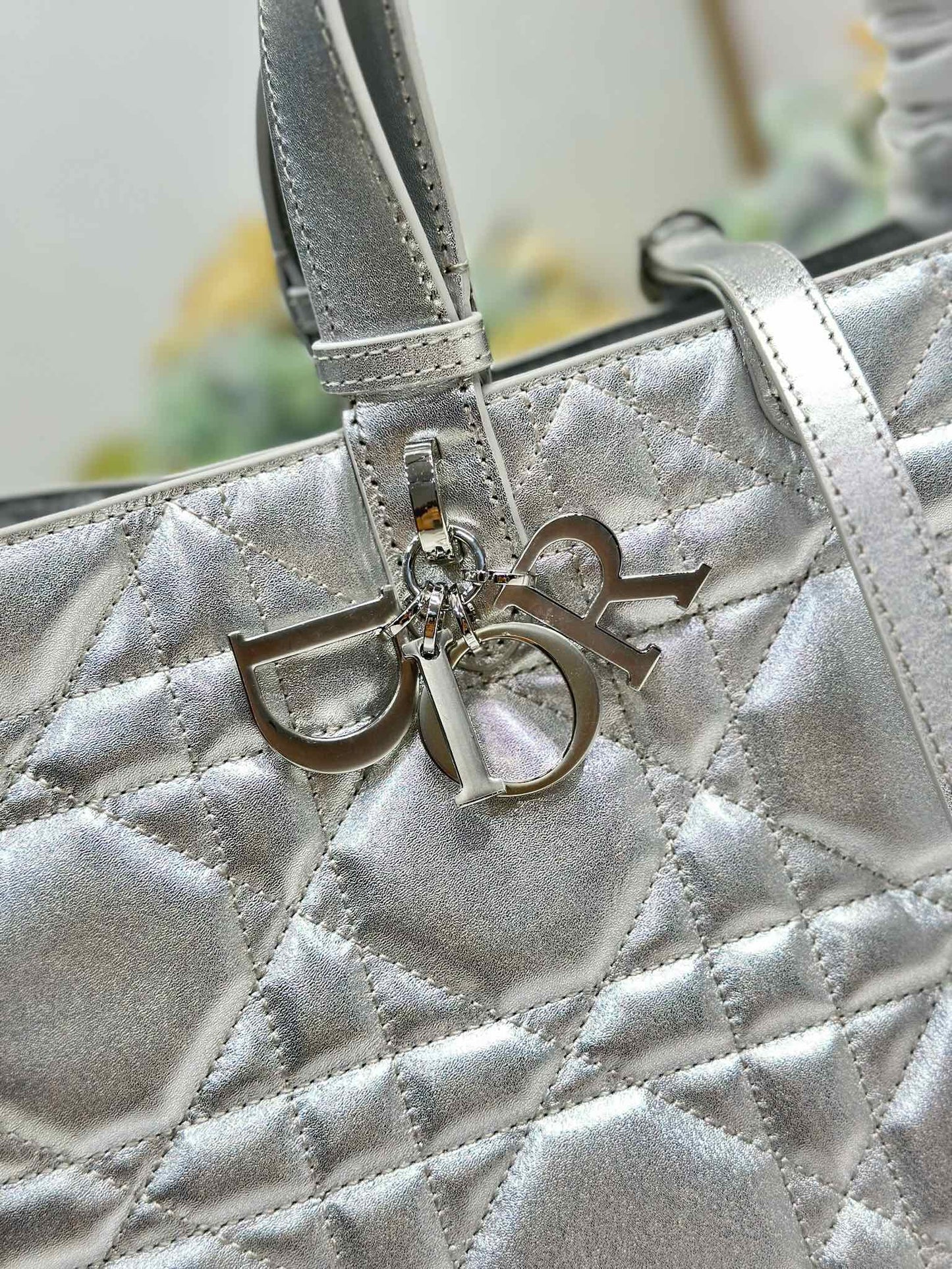 Dior 2026 Toujours Bag Silver Calfskin 288544