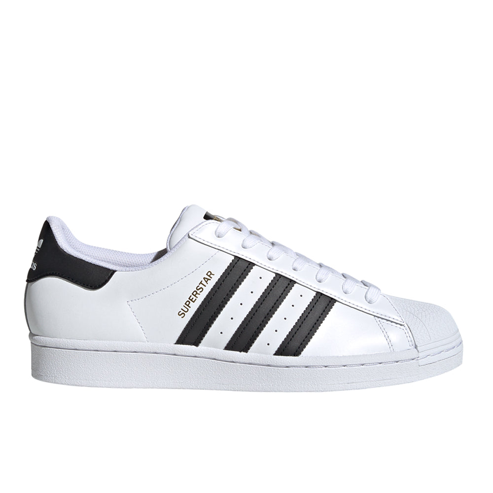 Superstar Lace Up Sneakers