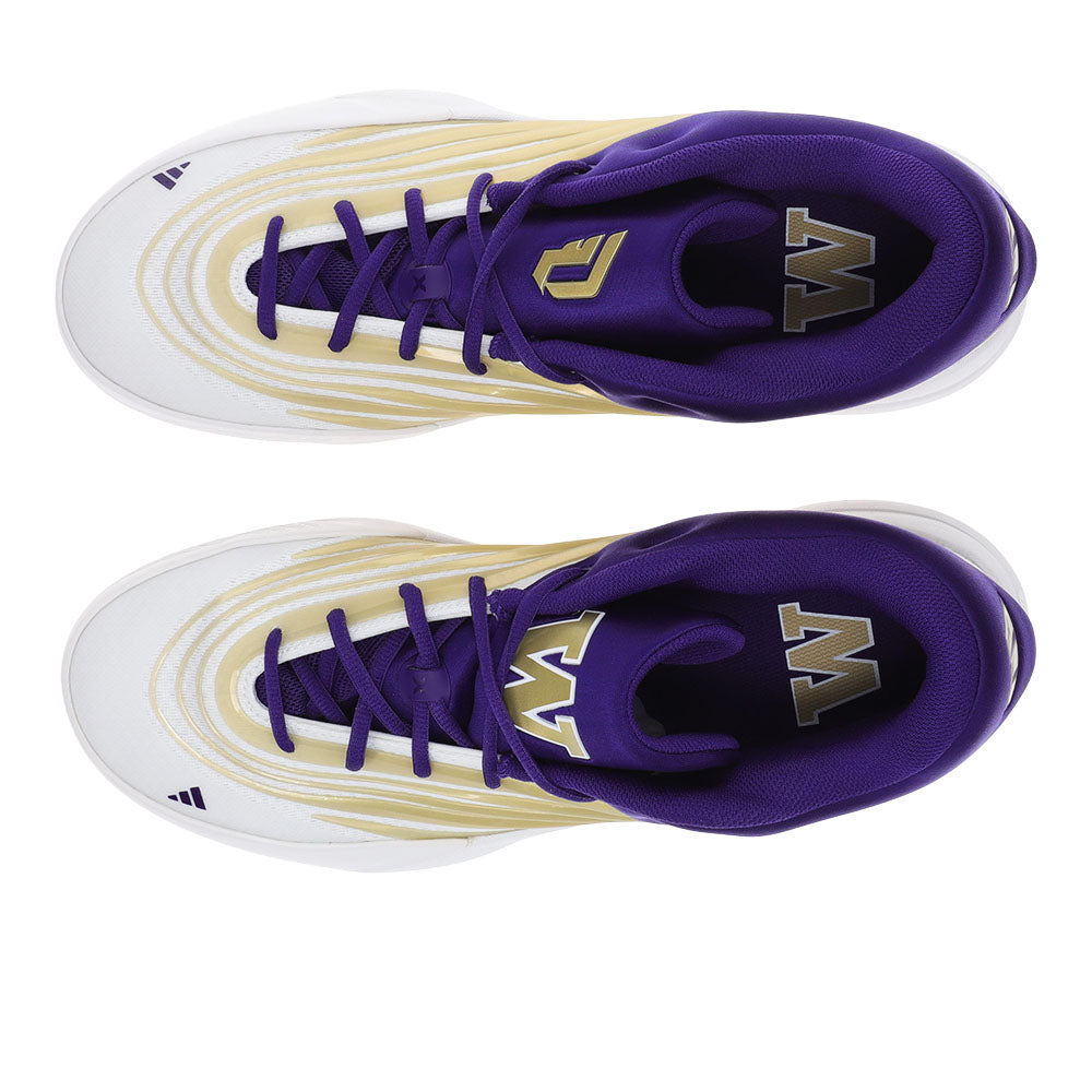 Dame X Washington Huskies Basketball Shoes