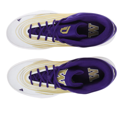 Dame X Washington Huskies Basketball Shoes