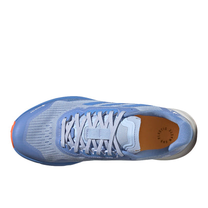 Terrex Agravic Flow 2 GORE-TEX Trail Running Shoes
