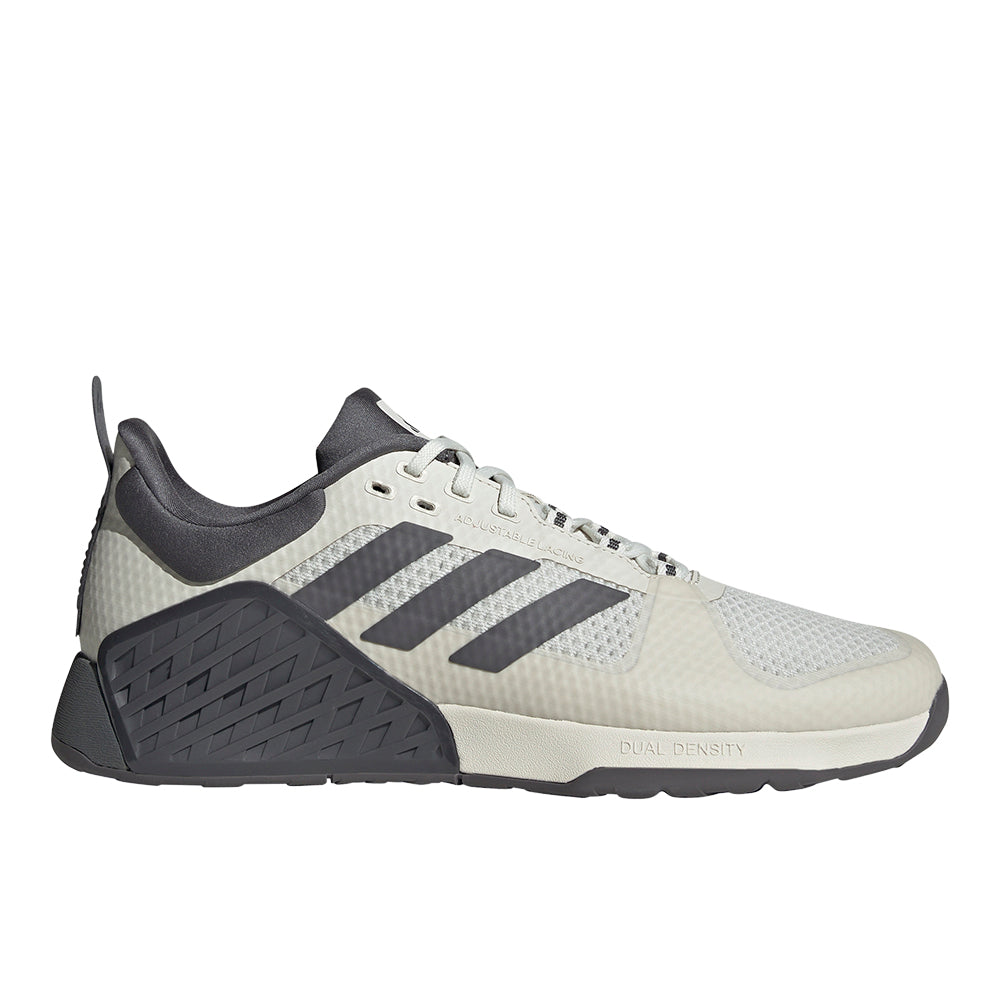 Dropset 2 Training Shoes