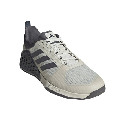 Dropset 2 Training Shoes