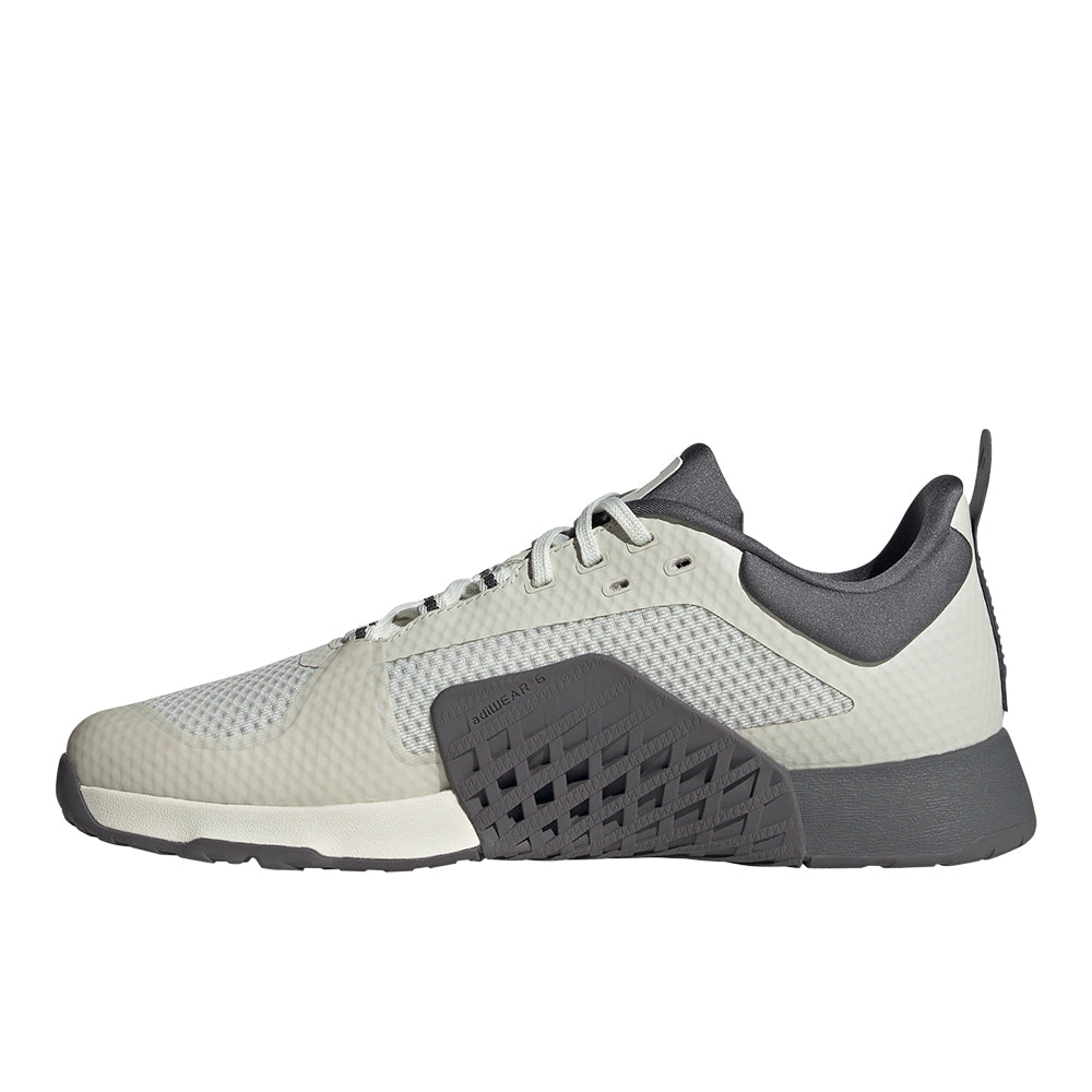 Dropset 2 Training Shoes