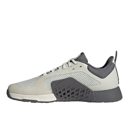 Dropset 2 Training Shoes