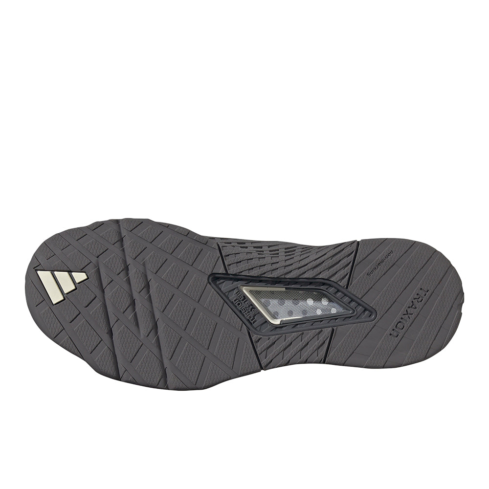 Dropset 2 Training Shoes