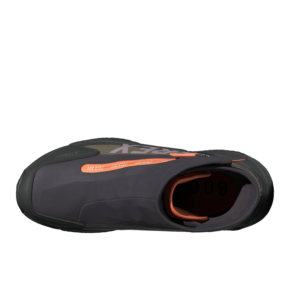 Terrex Free Hiker 2 COLD.RDY Hiking Shoes