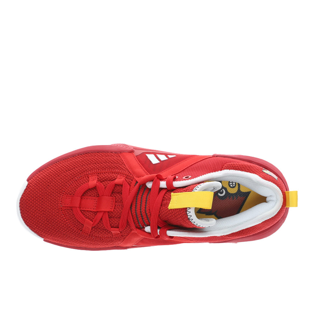 Exhibit Select Louisville Cardinals Basketball Shoes