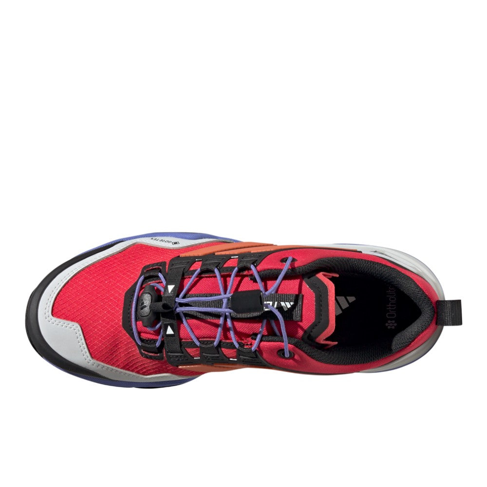 Terrex Skychaser Gore-Tex Hiking Shoes