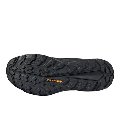 Terrex Free Hiker 2.0 Gore-Tex Hiking Shoes