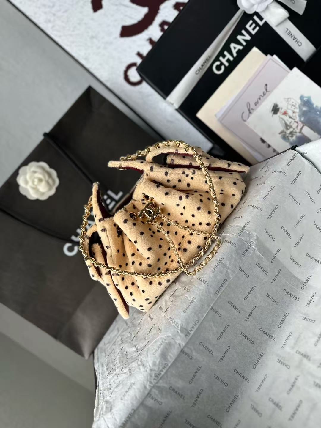 Chanel 2026 Hobo Bag 22cm Beige Black Plush Leather