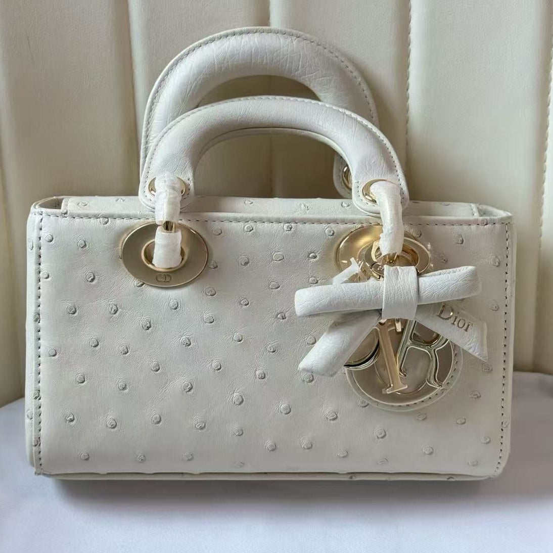 Dior 2026 Lady D-Joy Bag 19cm Ostrich Leather