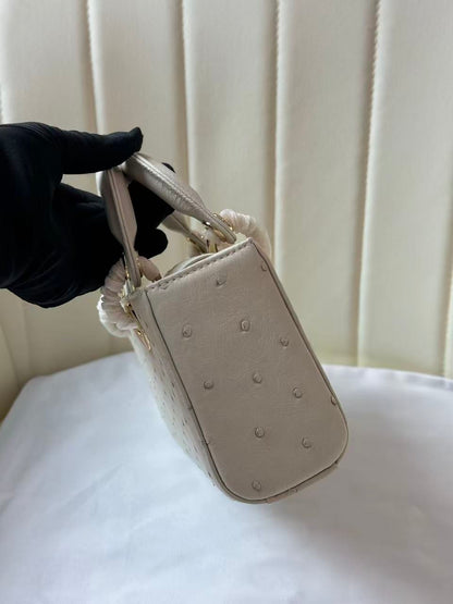 Dior 2026 Lady D-Joy Bag 19cm Ostrich Leather