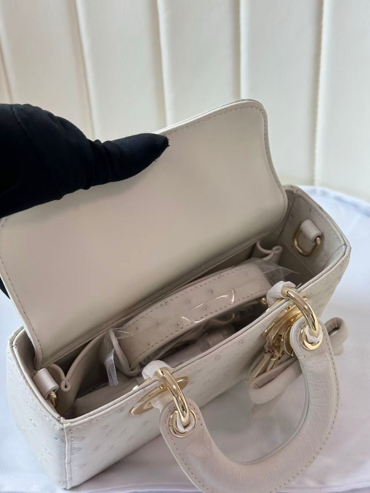 Dior 2026 Lady D-Joy Bag 19cm Ostrich Leather