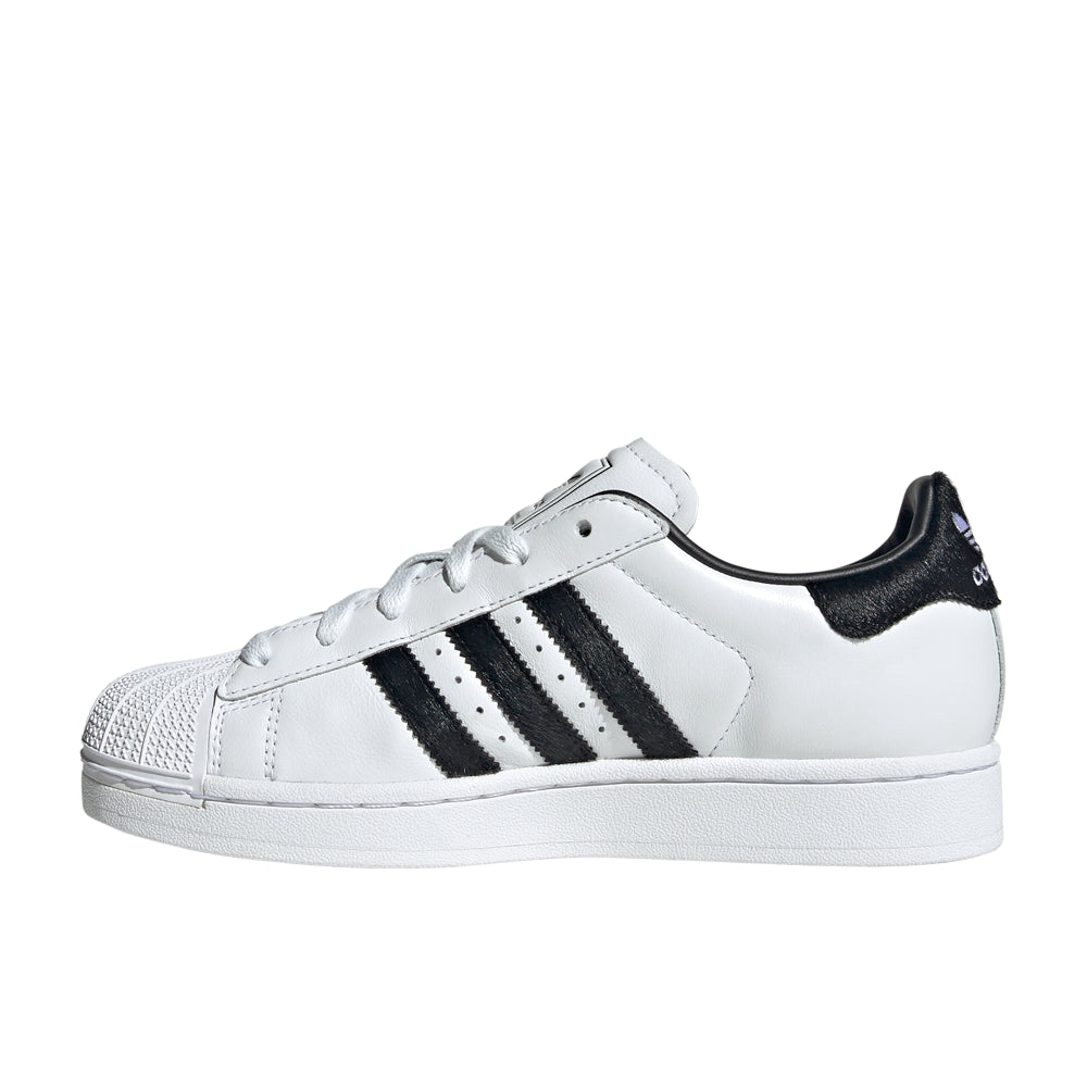 Superstar II Lace Up Sneakers