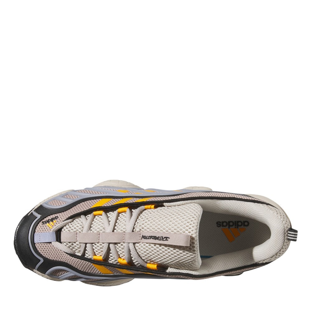Intimidation Low Lace Up Sneakers