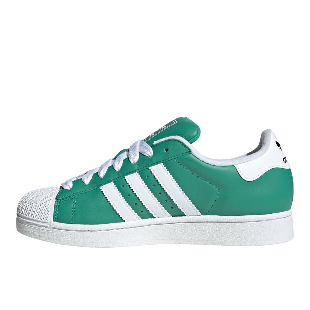 Superstar II Lace Up Sneakers