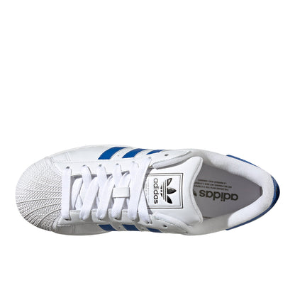 Superstar II Lace Up Sneakers
