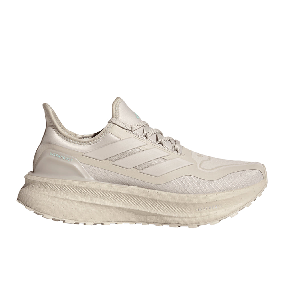 Ultraboost 5 Gore-Tex Running Shoes