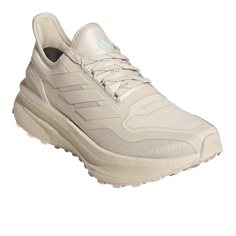 Ultraboost 5 Gore-Tex Running Shoes