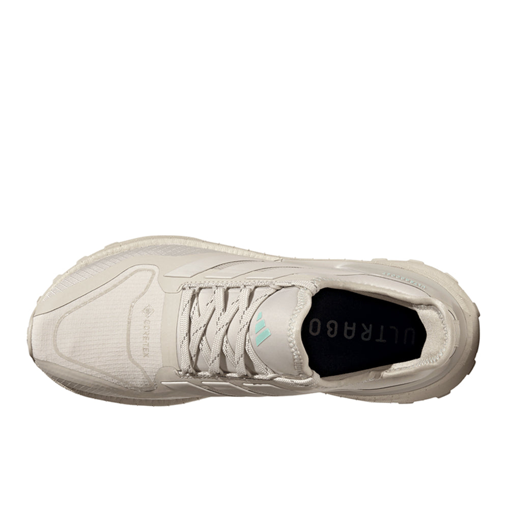 Ultraboost 5 Gore-Tex Running Shoes