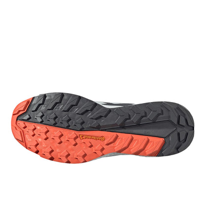 Terrex Free Hiker 2 Low GORE-TEX Hiking Shoes