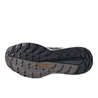 Terrex Free Hiker 2.0 Low Gore-Tex Hiking Shoes