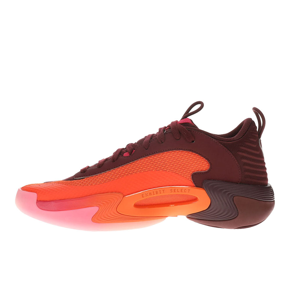 Exhibit 2 Low Basketball Shoes