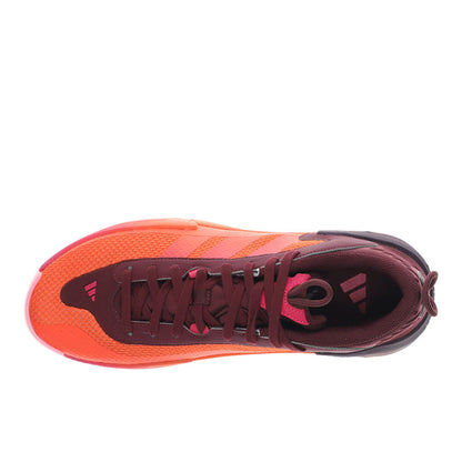 Exhibit 2 Low Basketball Shoes