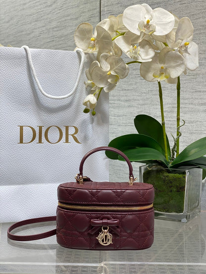 Dior 2026 Vanity Bag 17.5cm Cannage Lambskin 289248
