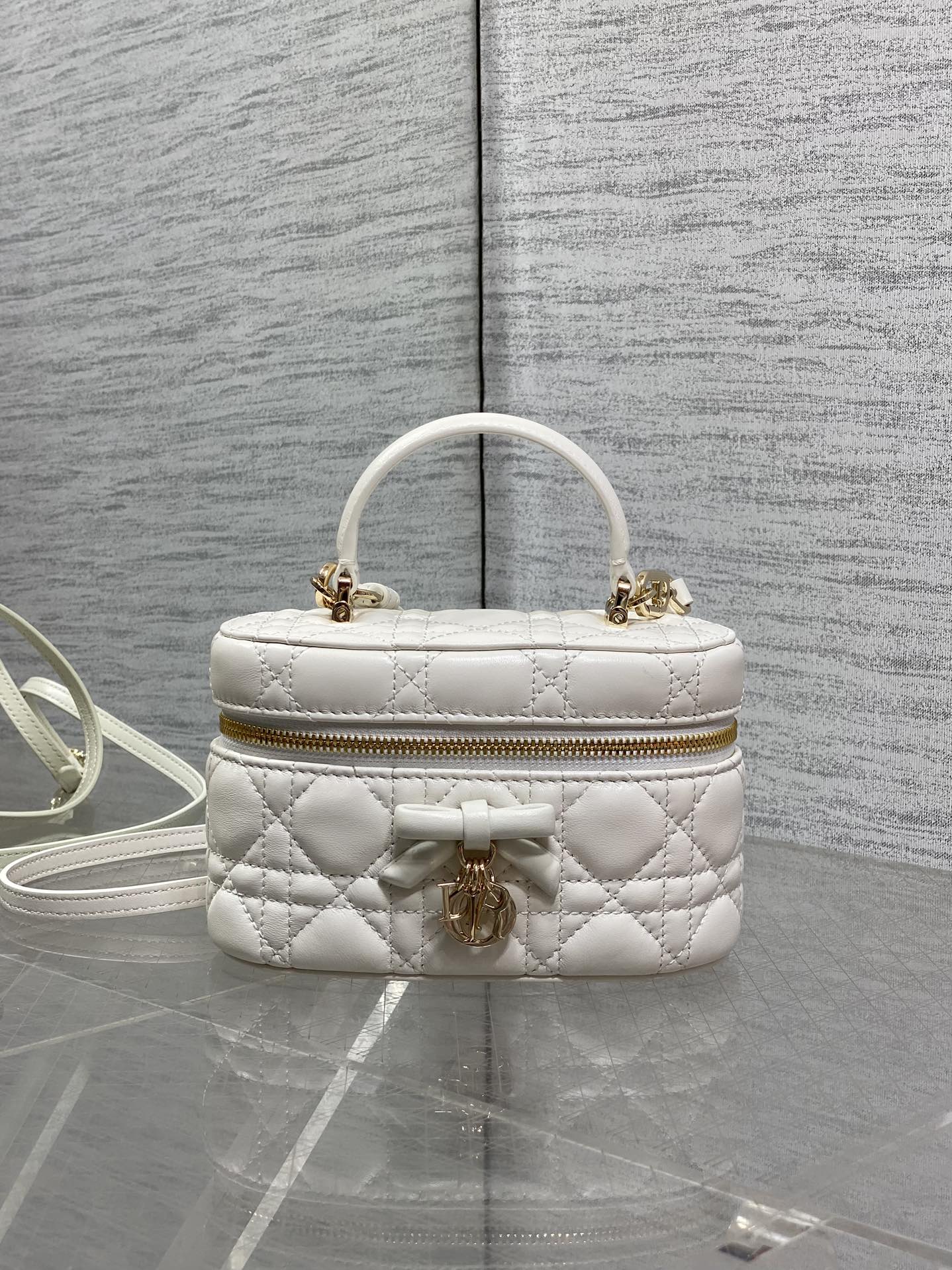 Dior 2026 Vanity Bag 17.5cm Cannage Lambskin 289248