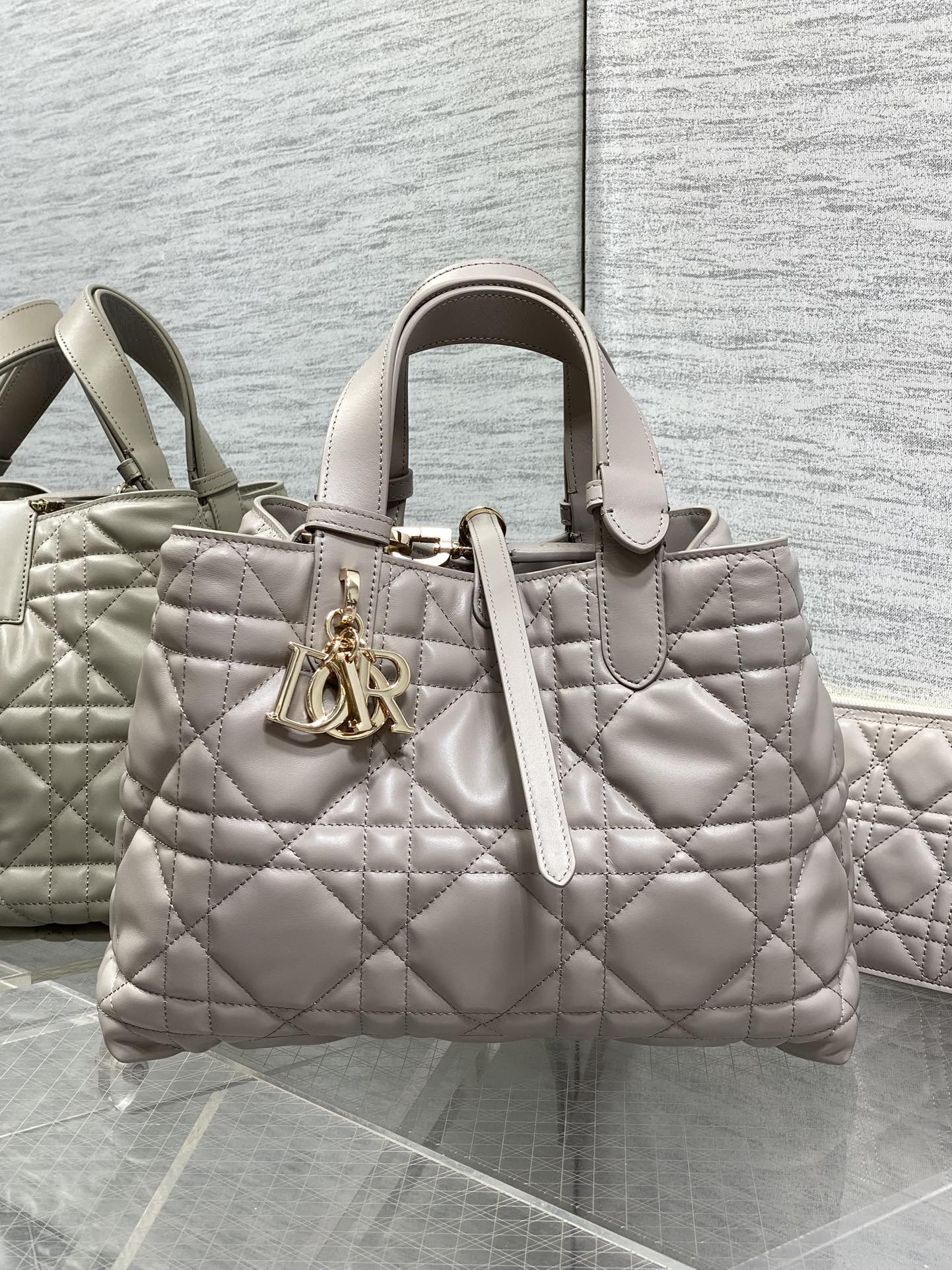 Dior 2026 Toujours Vertical Tote Bag Elegant Grey Calfskin 286656