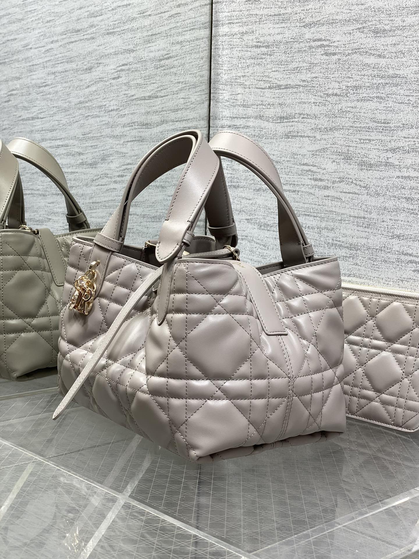 Dior 2026 Toujours Vertical Tote Bag Elegant Grey Calfskin 286656