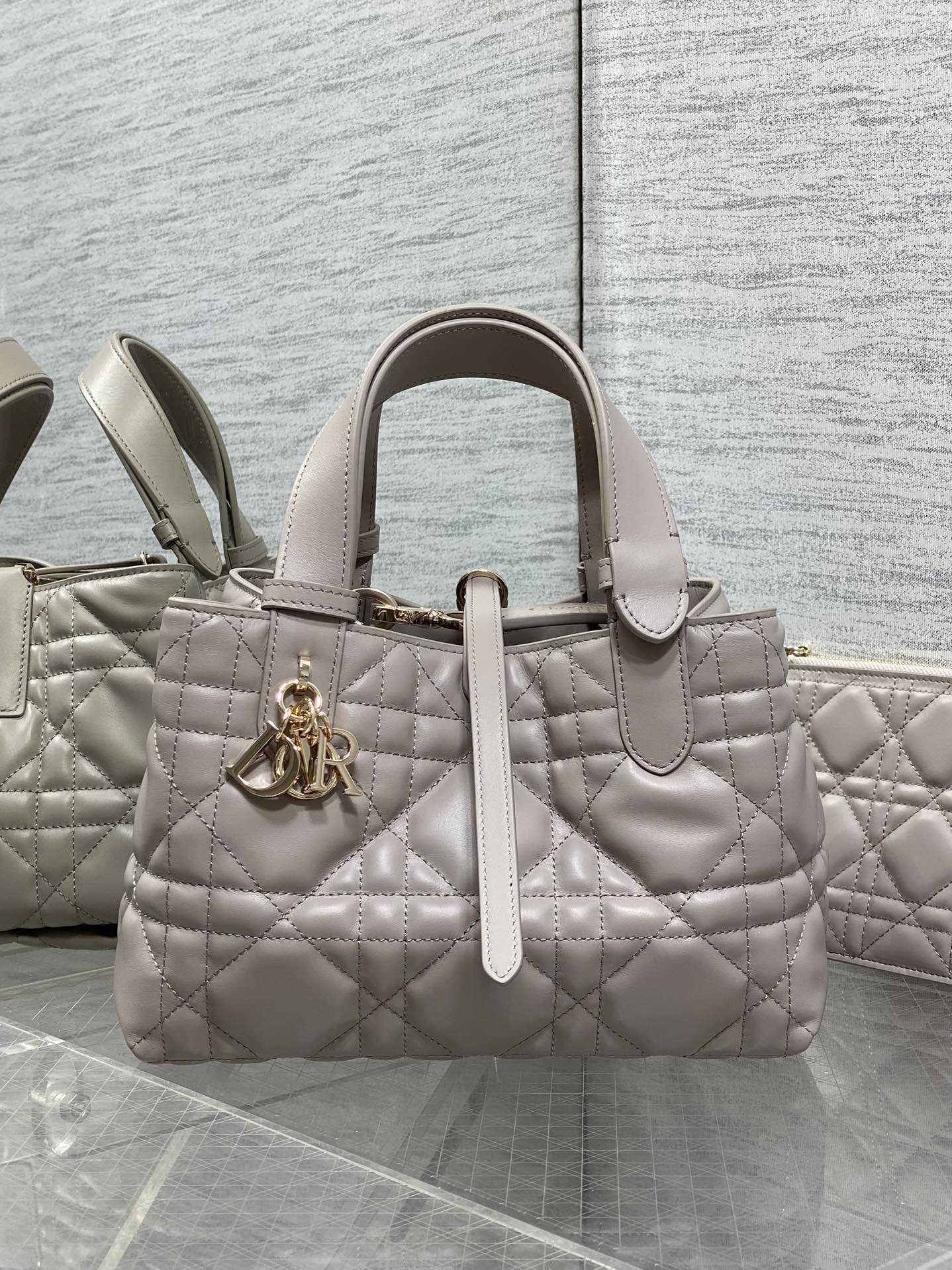 Dior 2026 Toujours Vertical Tote Bag Elegant Grey Calfskin 286656