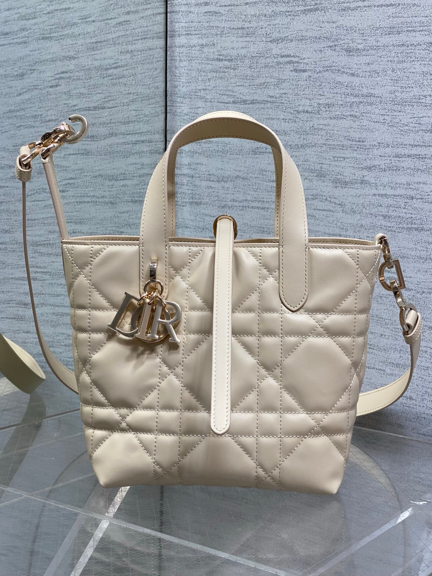 Dior 2026 Toujours Vertical Tote Bag 18cm Macrocannage Calfskin 286459