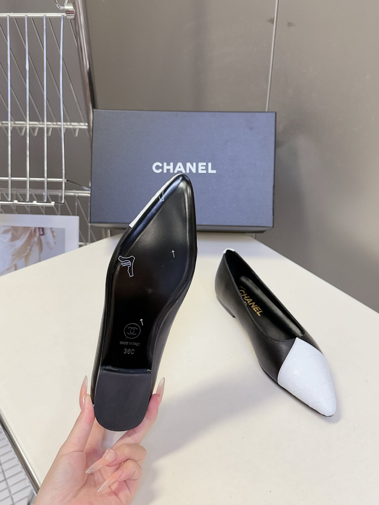 Chanel 2026 Embossed Ballerina Calfskin 895361