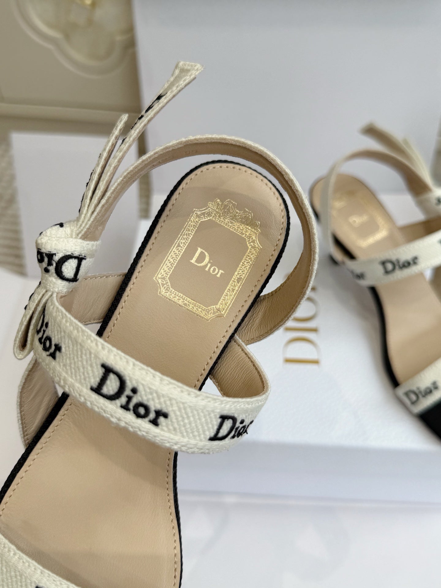 Dior 2026 Strappy High-heeled Sandal Black White Embroidered Cotton Leather 717870