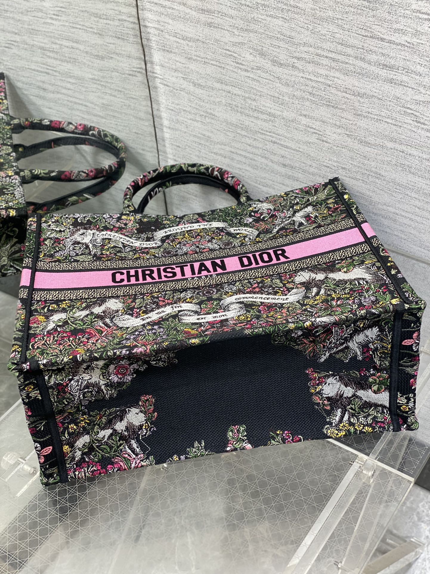 Dior 2026 Around The World Tote Bag Canvas 542528