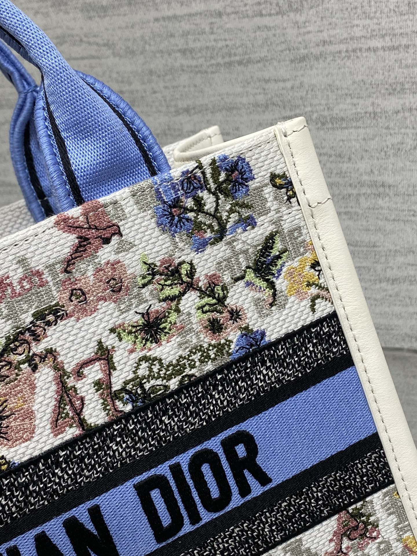 Dior 2026 Book Tote 26cm White Blue mix Colors Canvas