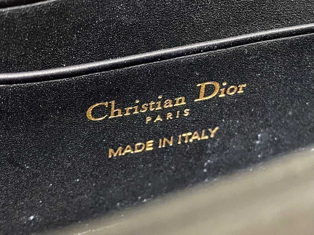Dior 2026 Top Handle Embroidered Bag 21cm Calfskin 352086