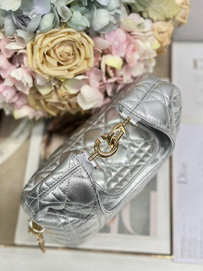 Dior 2026 Bag 27cm Multicolor Lambskin 289493