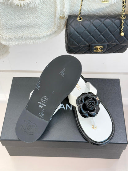 CC 26 Camellia Thong Sandal Sheepskin