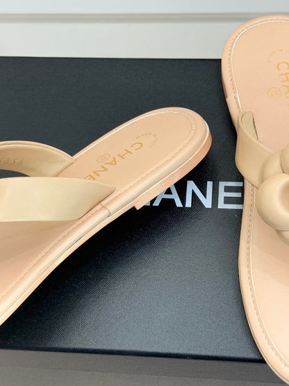 CC 26 Camellia Thong Sandal Beige Sheepskin 610001
