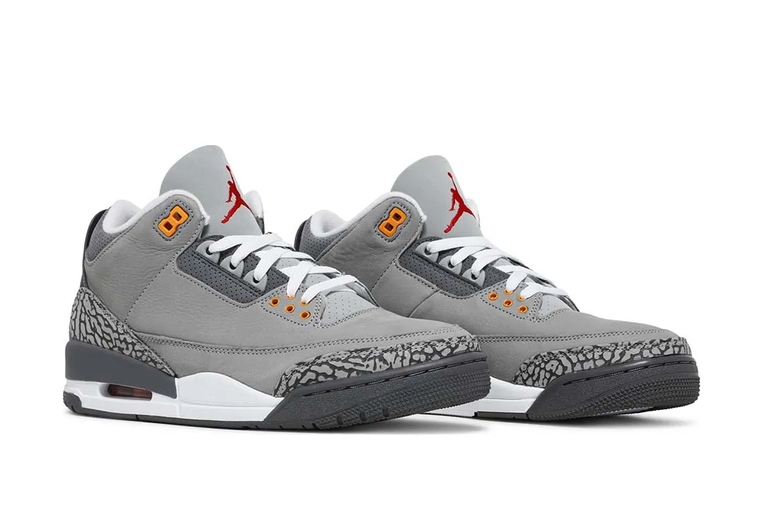 Jordan 3 Retro Cool Grey 2021 Sneakers - Authentic | Designer Kicks
